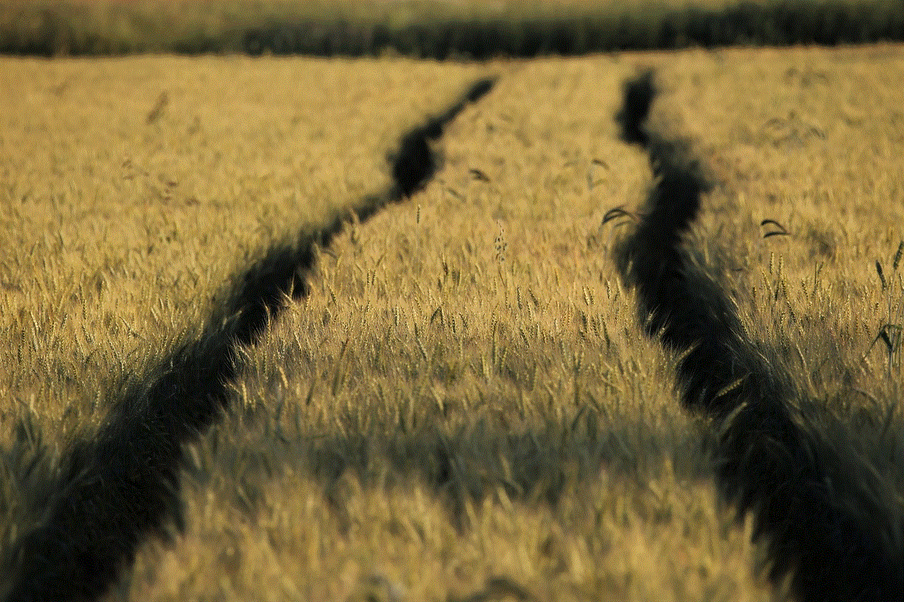 Wheat Field