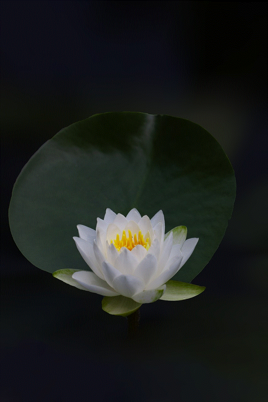 Lotus Flower Wallpaper