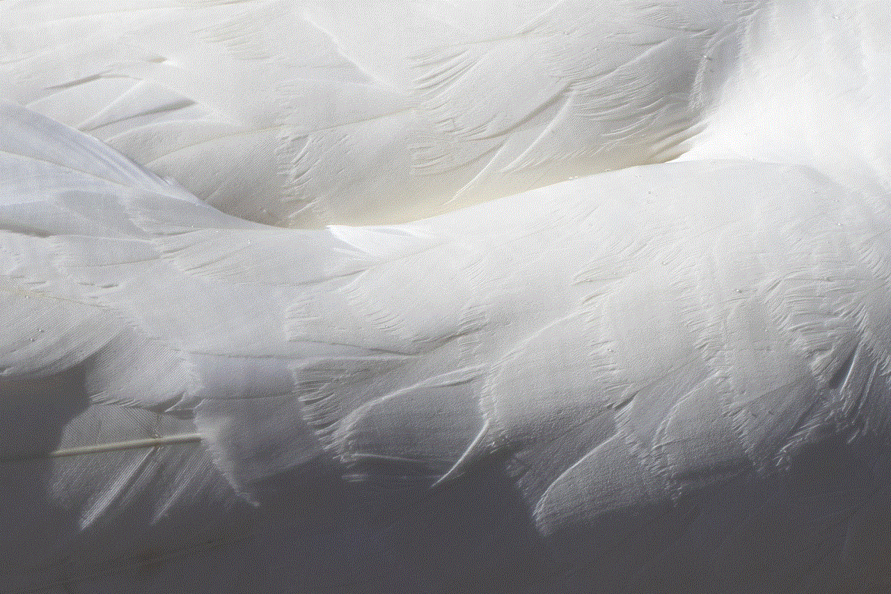 Feathers White Feathers White