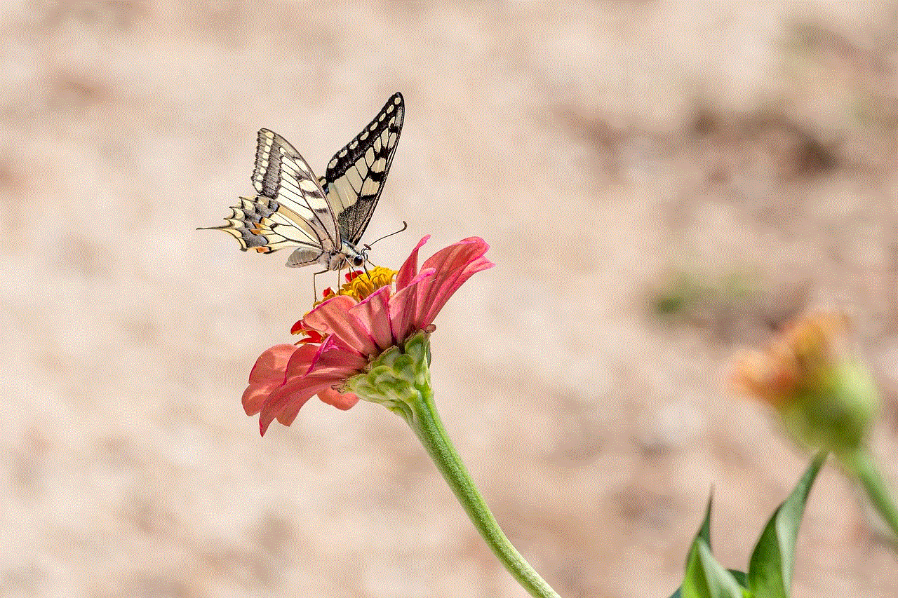 Butterfly Flower