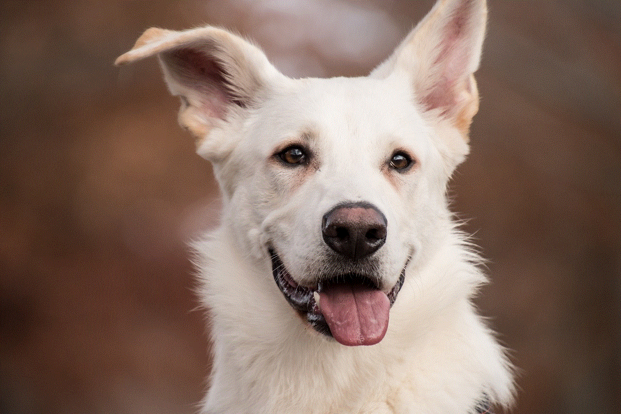 Schäfer Dog White Dog