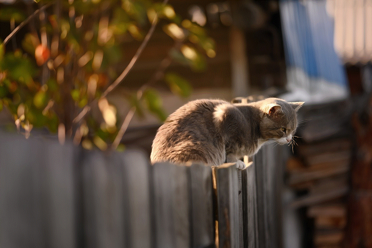 Cat Fence