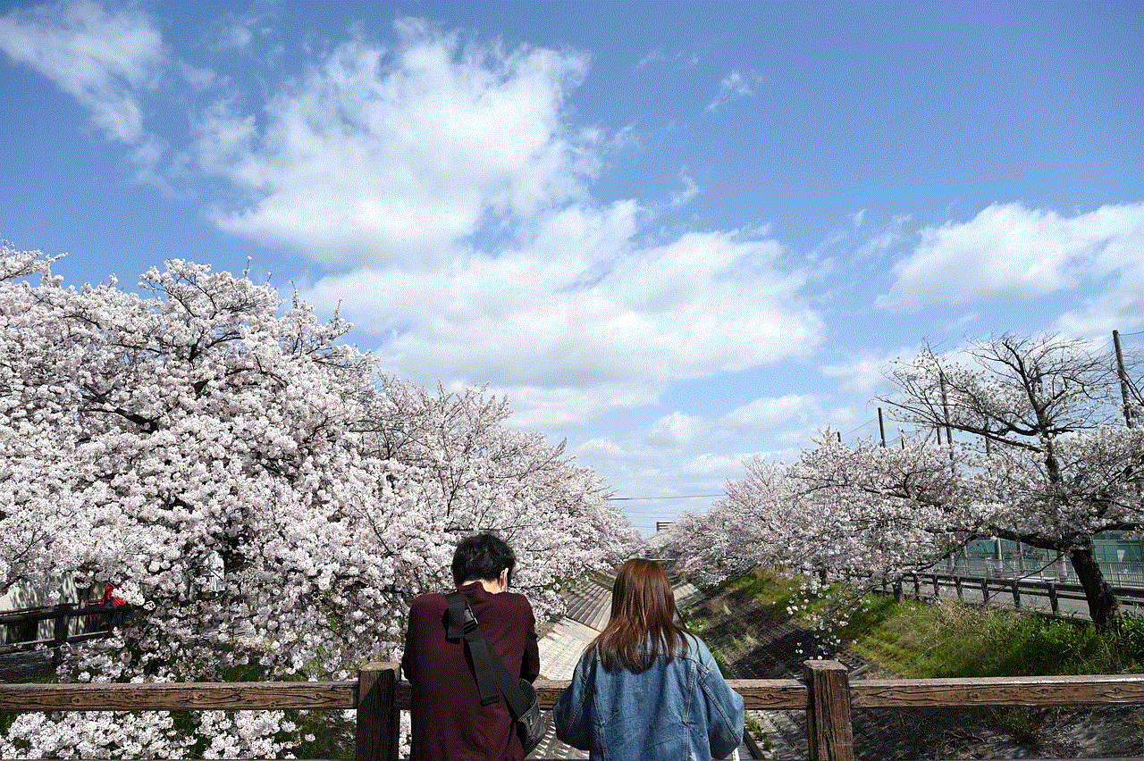 Cherry Blossoms Lover