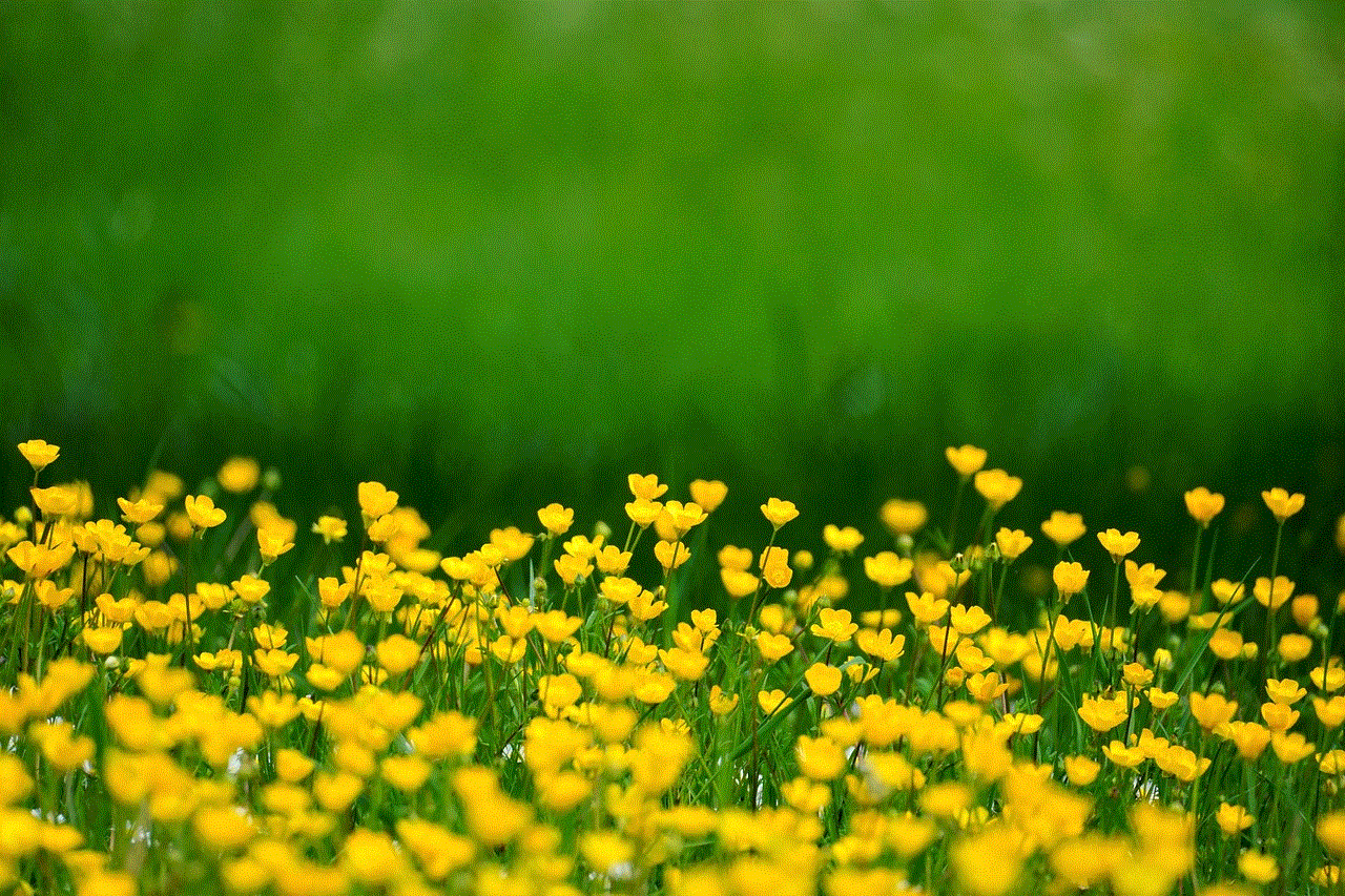 Buttercups Flower