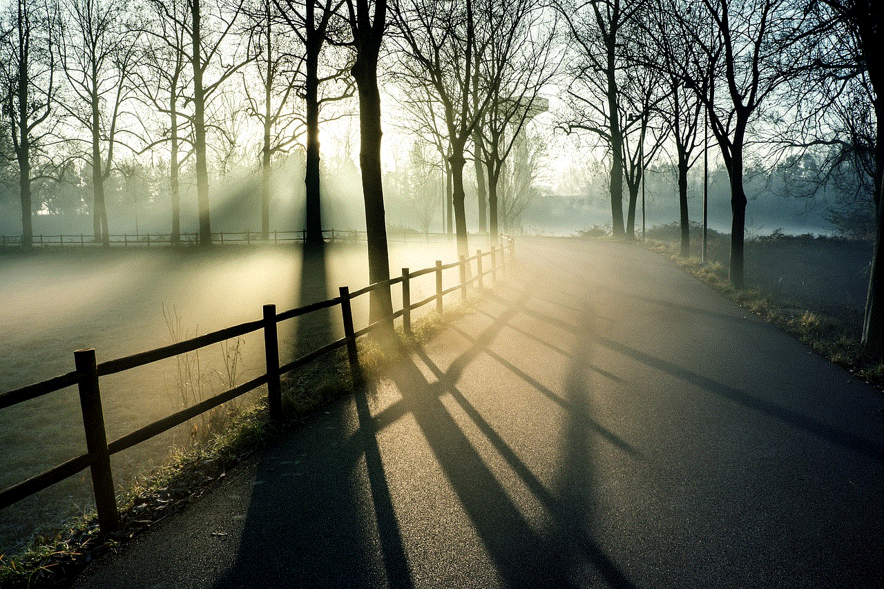 Fog Park