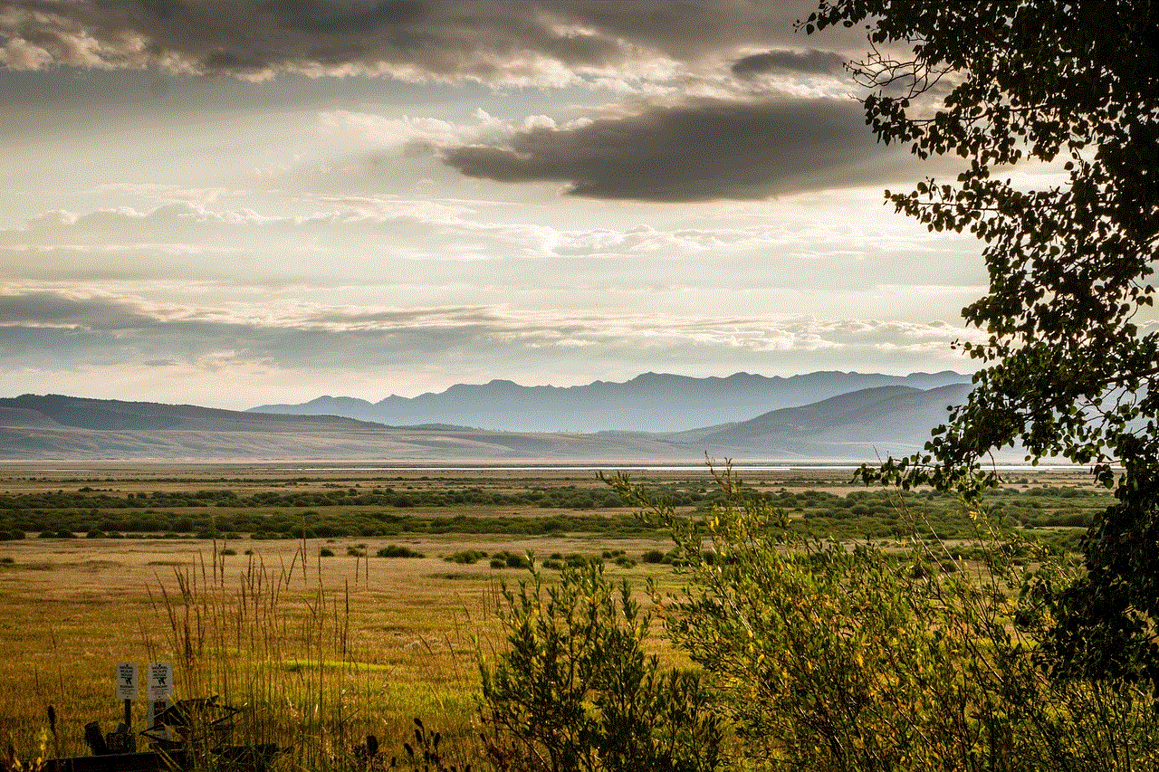 Landscape Countryside