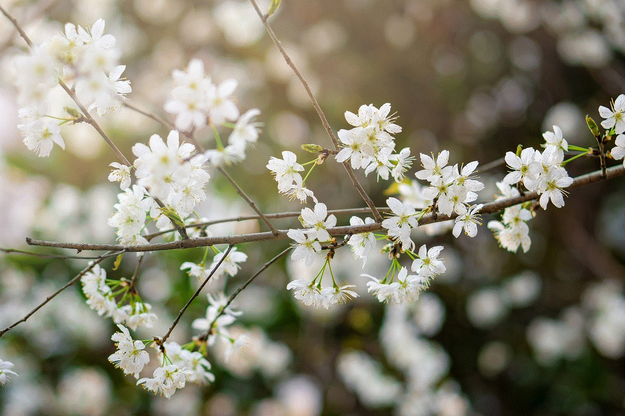 Flower Flower Background