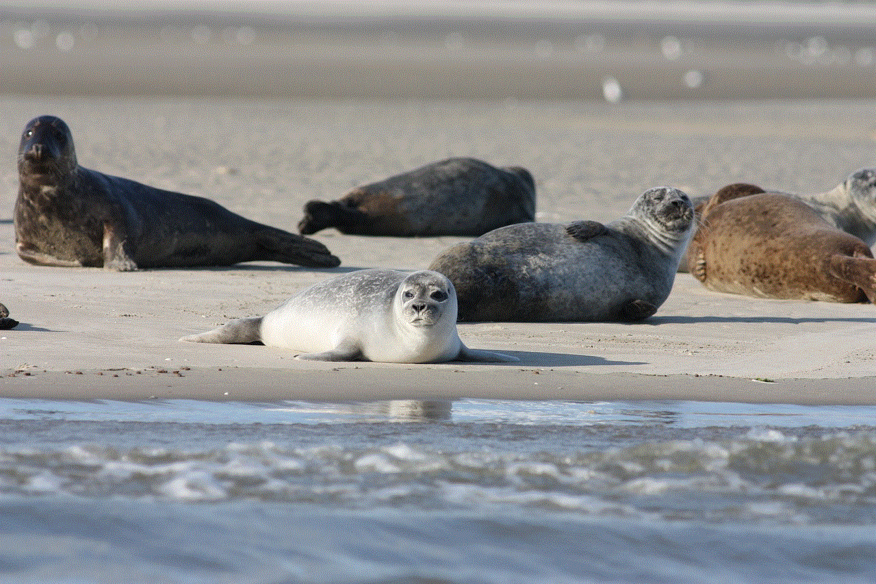 Seals Coast