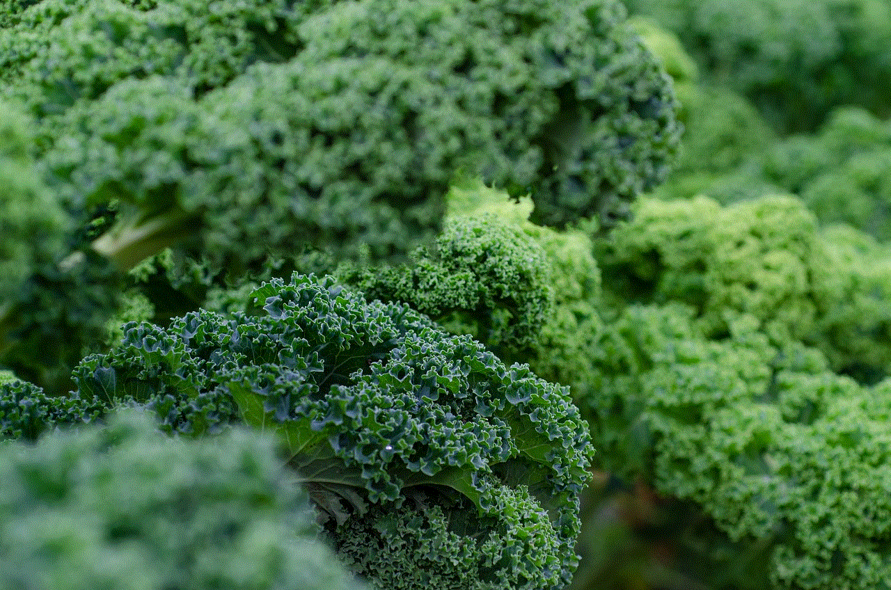 Kale Fresh