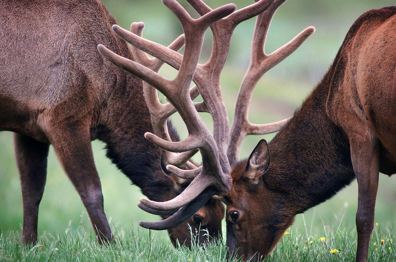 Elks Antlers