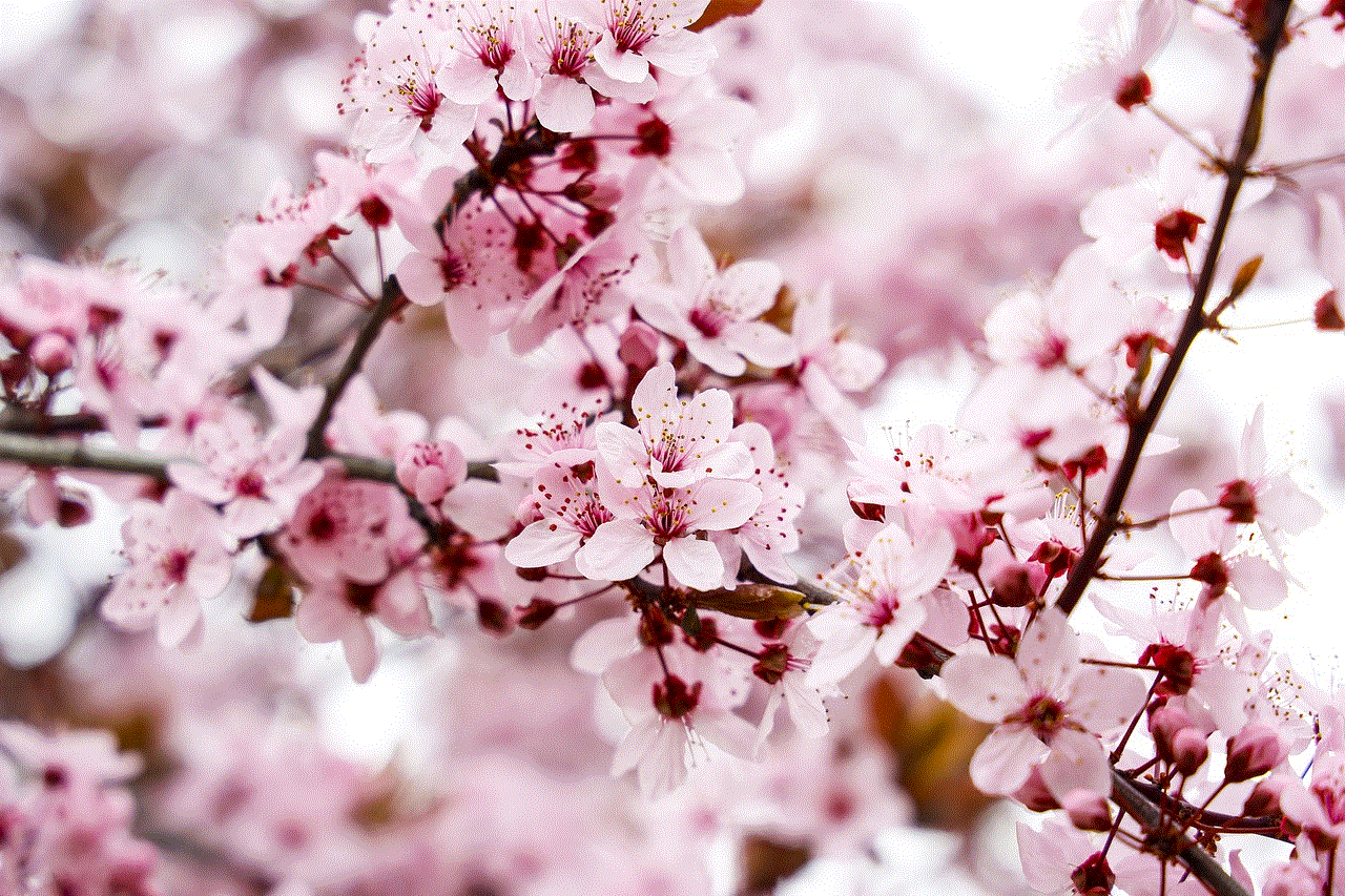 Almond Tree Flowers