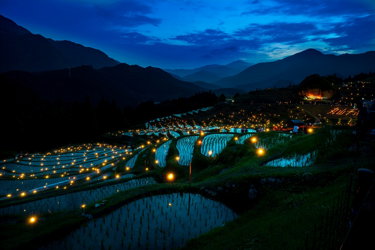 Rice Terraces Rice Paddies