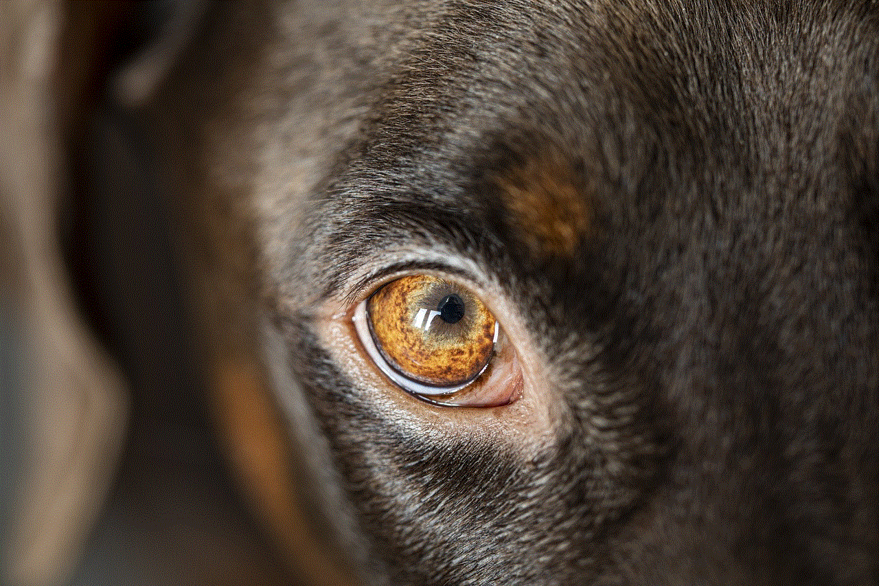 Dog Eye