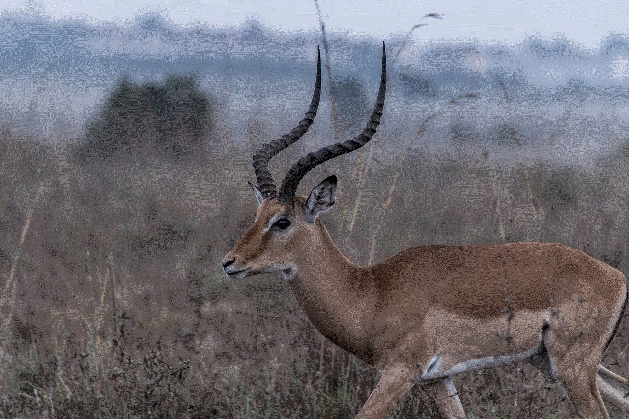 Gazelle Horns