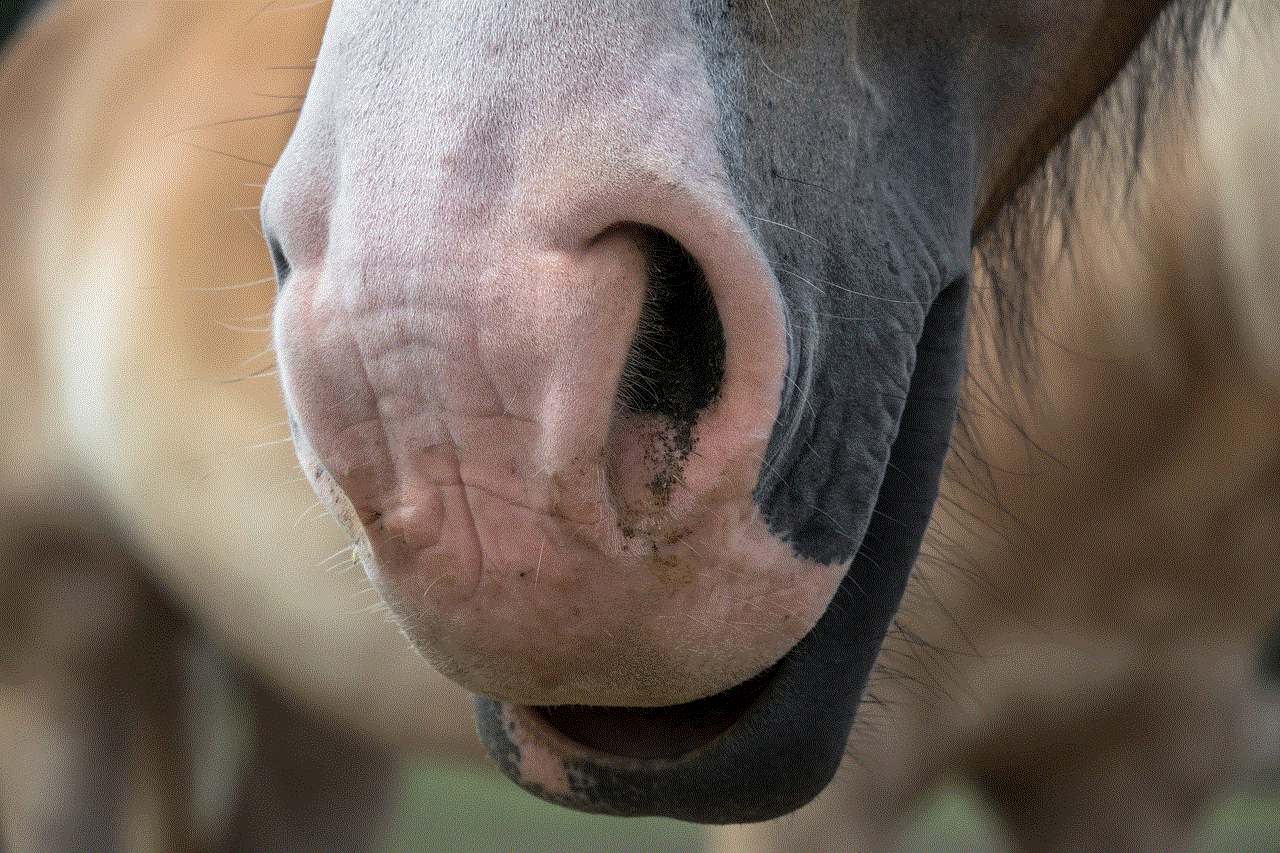 Horse Snout