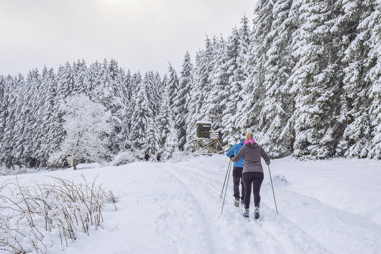 Cross Country Skiing Skiers