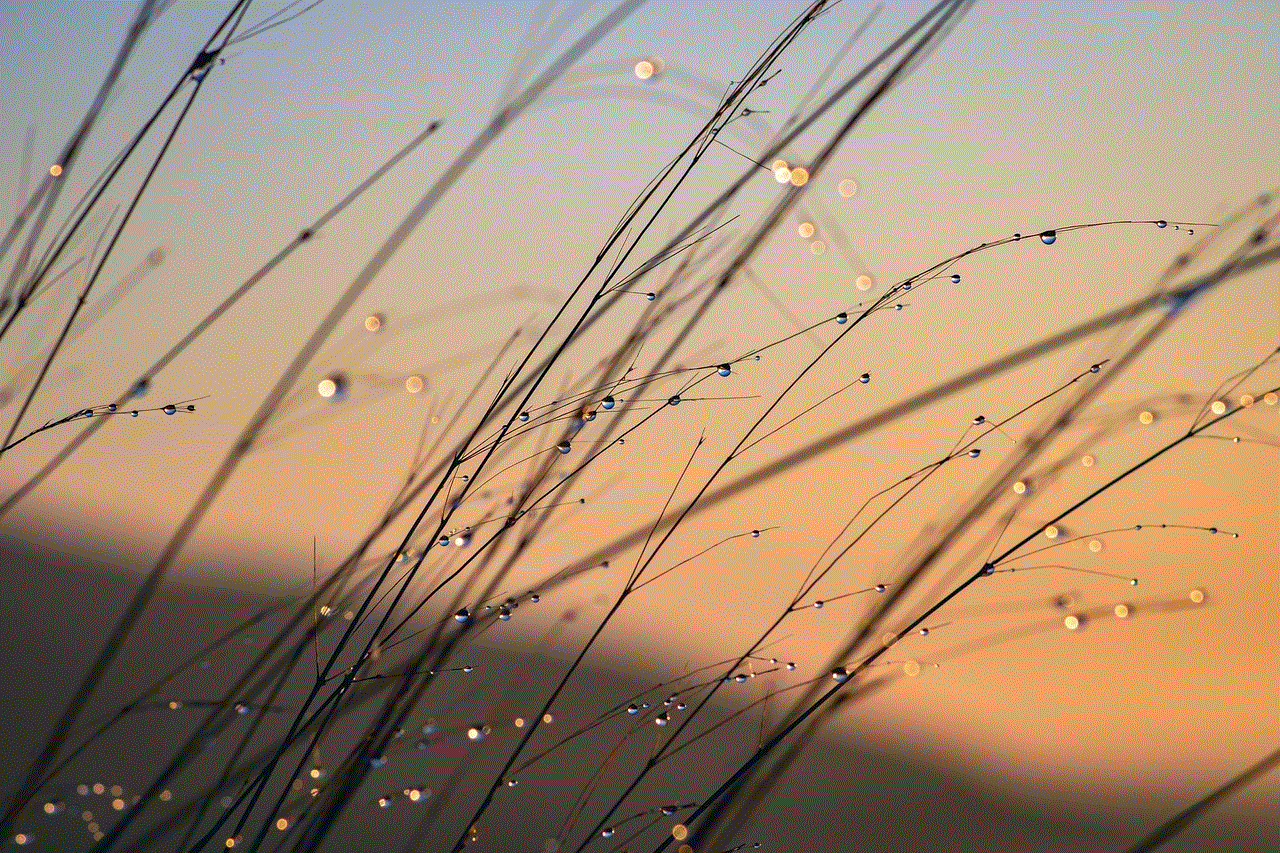 Grass Windows Wallpaper Grass Windows Wallpaper