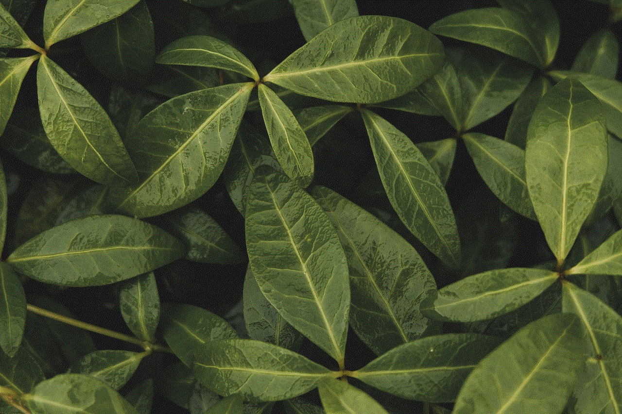 Leaves Mac Wallpaper