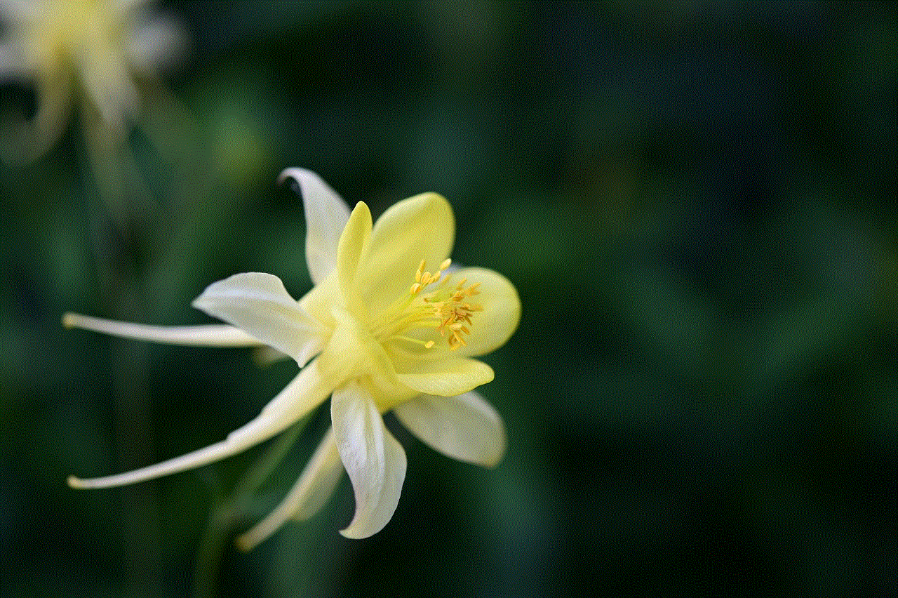 Columbine Flower