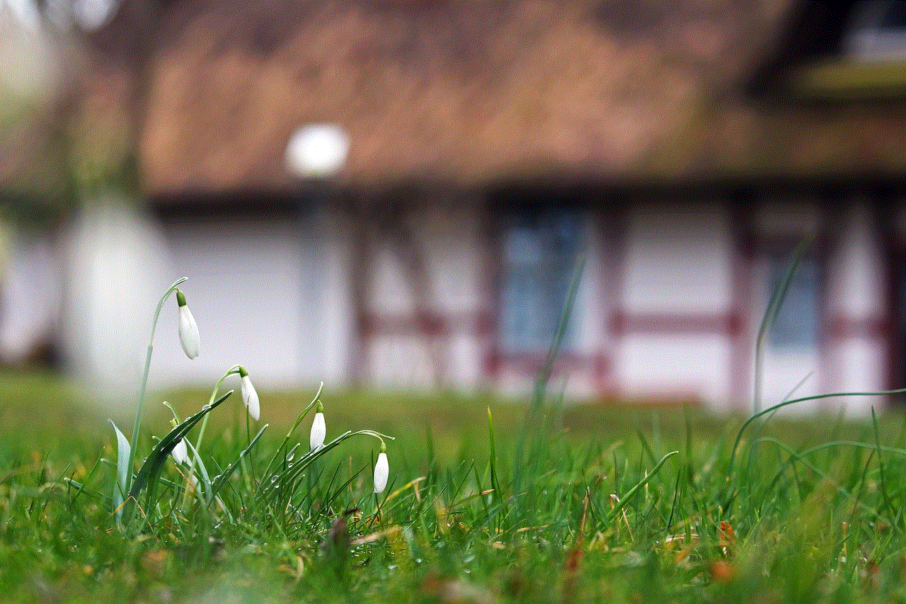 Snowdrop Flowers