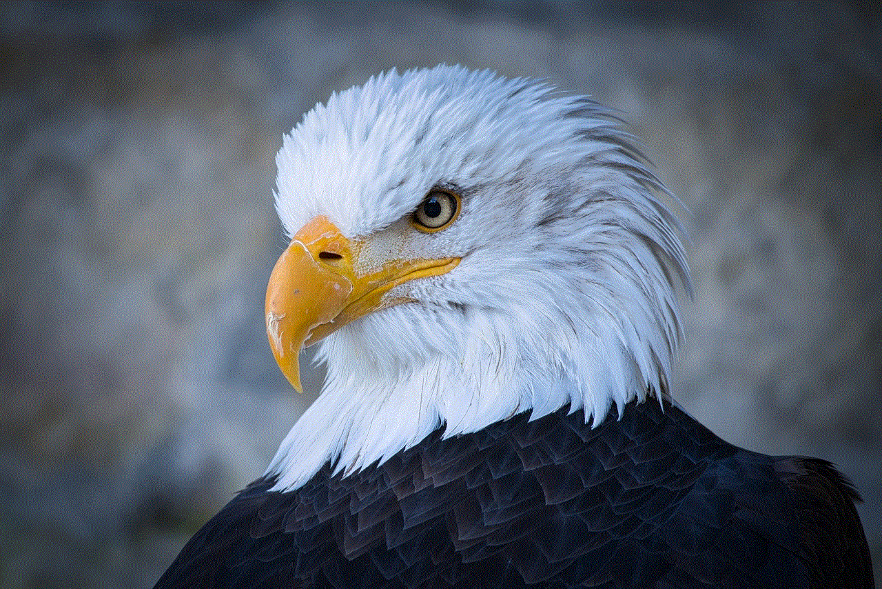 Eagle Head