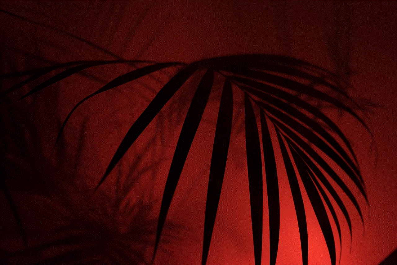 Palm Desktop Backgrounds