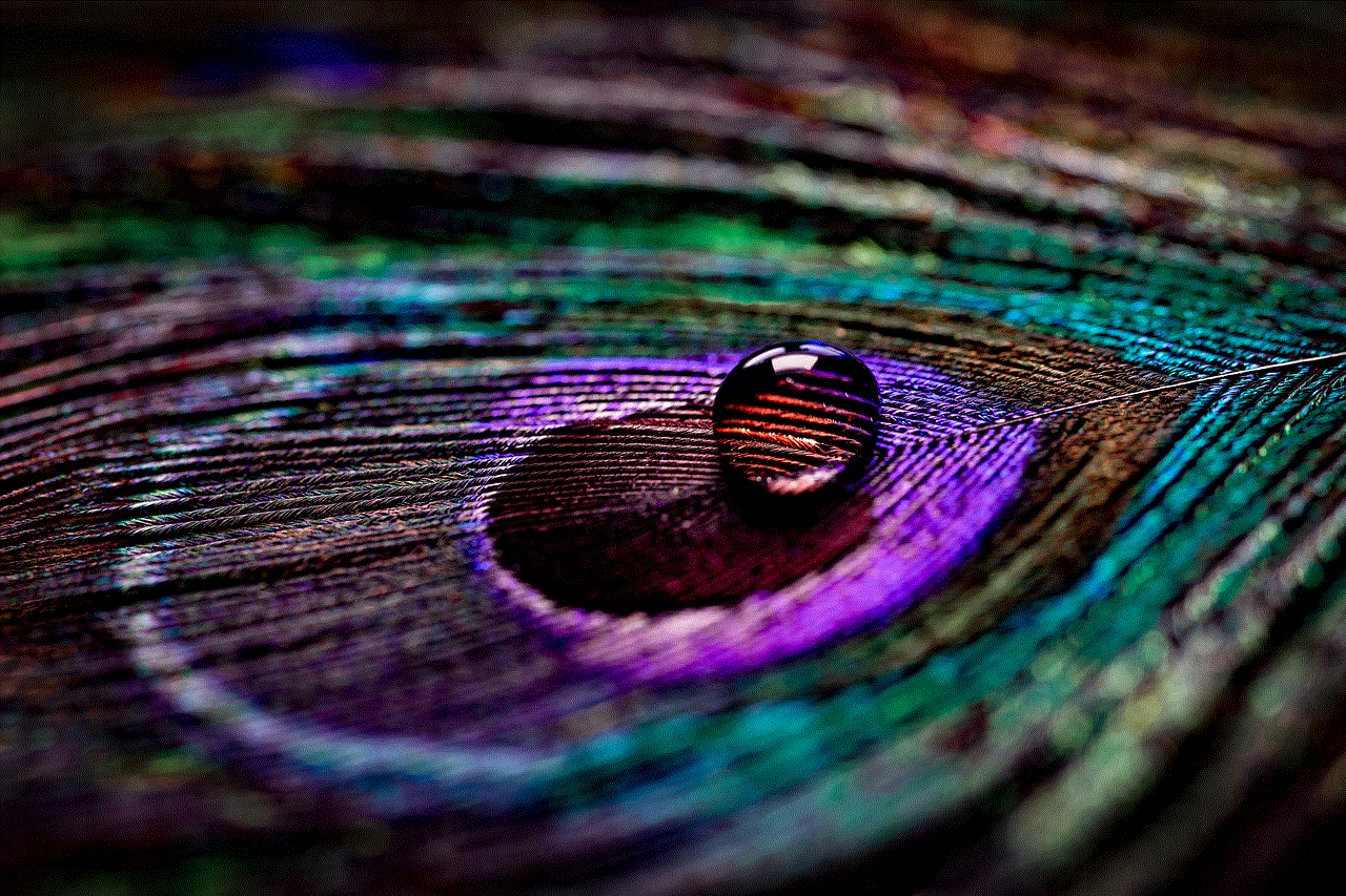 Peacock Feather