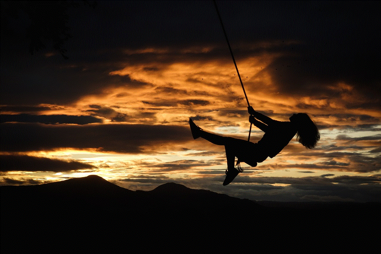 Sunset Rope Swing