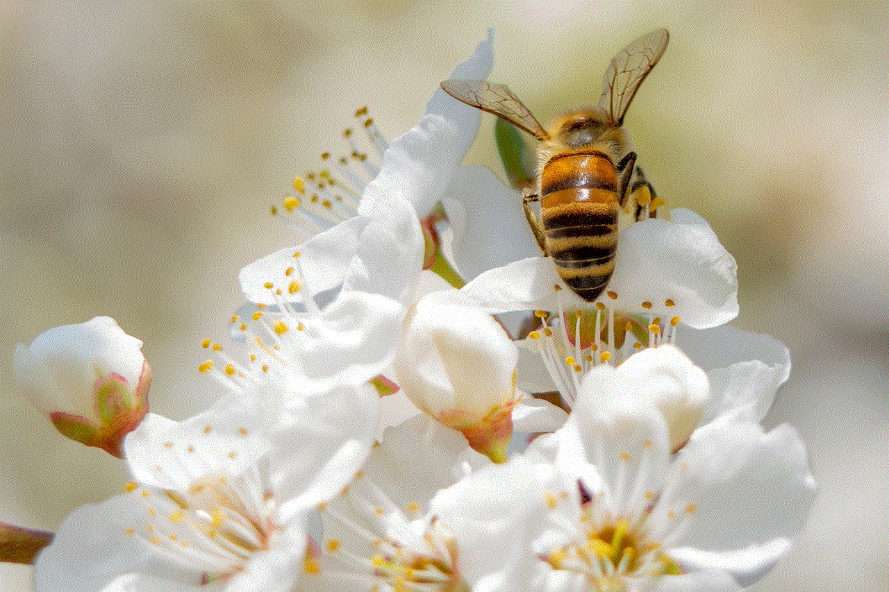 Bee Flowers