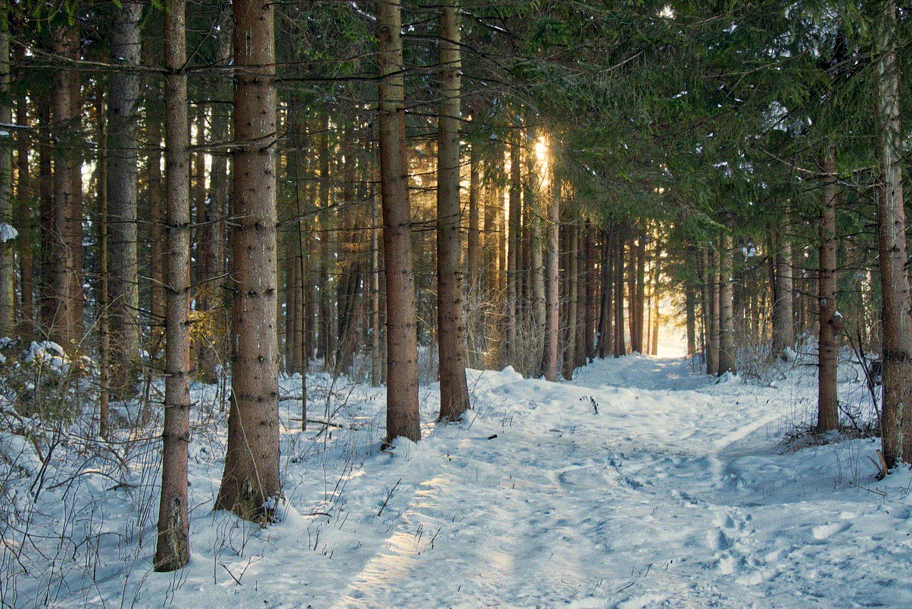 Snow Trees