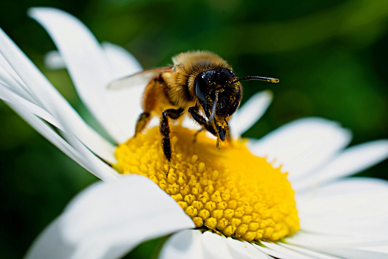 Flower Flower Background