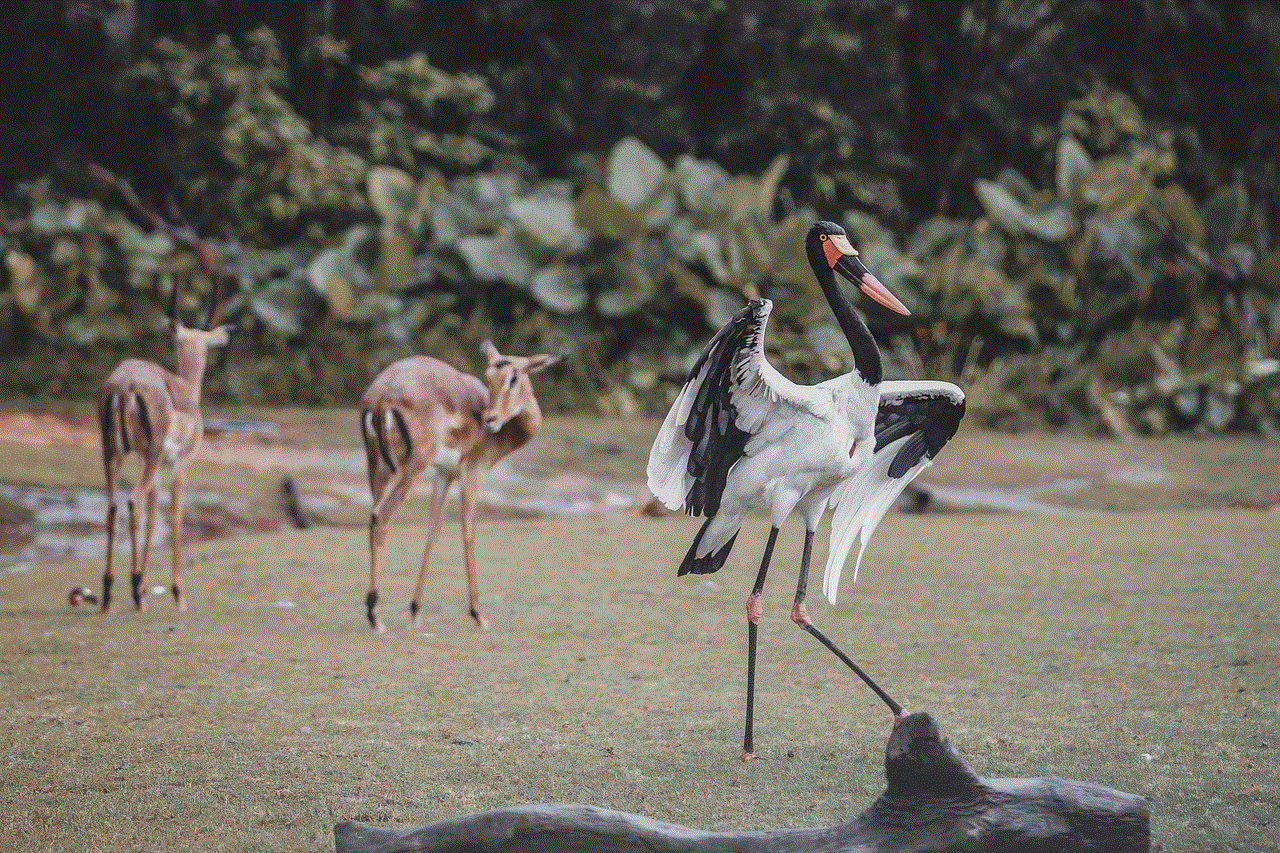 Stork Deer