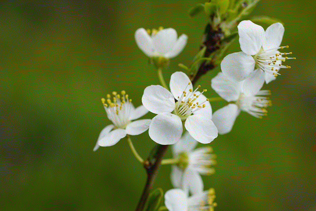 White Flowers Etals