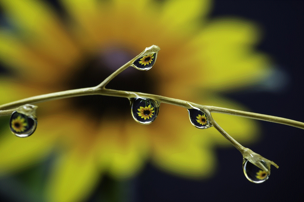 Droplets Flower Background