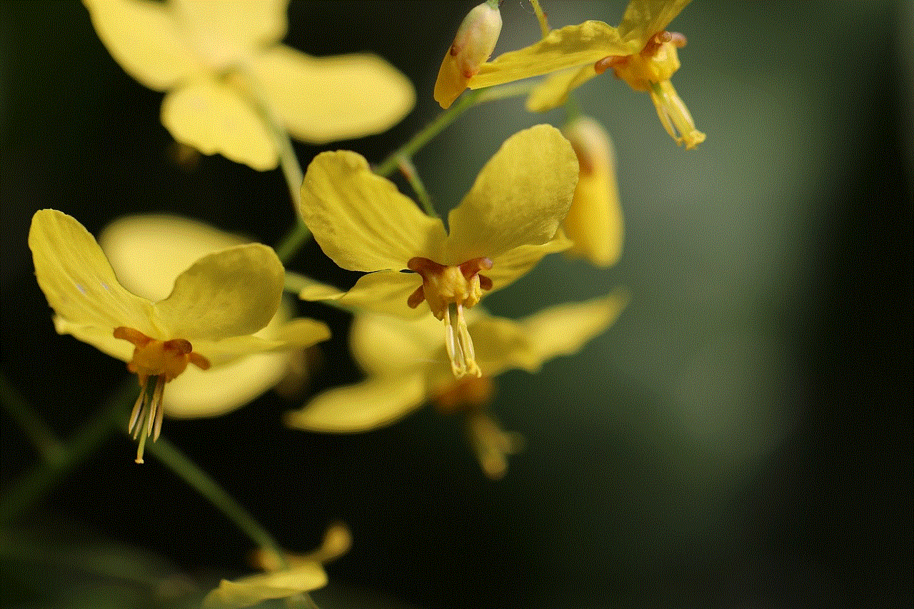 Elven Flower Epimedium