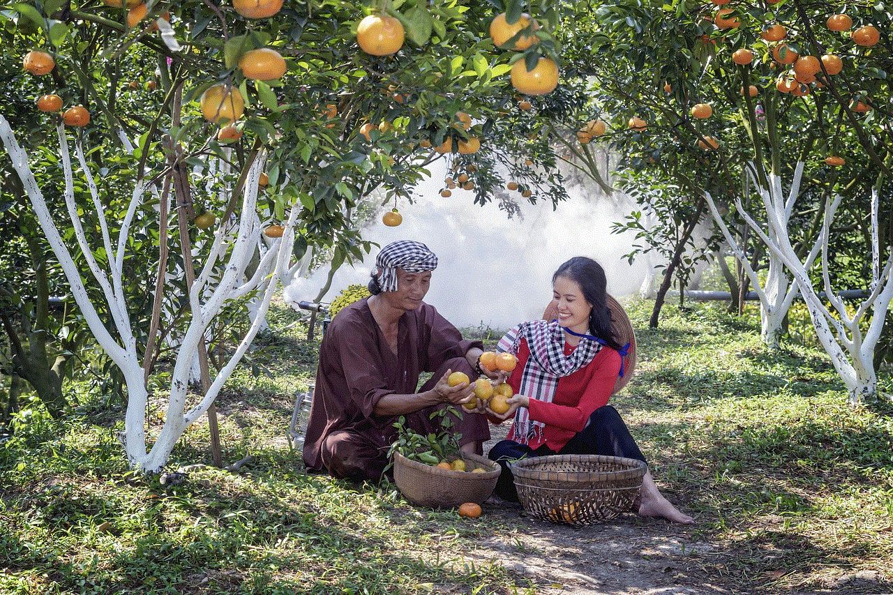 Tangerines Orchard