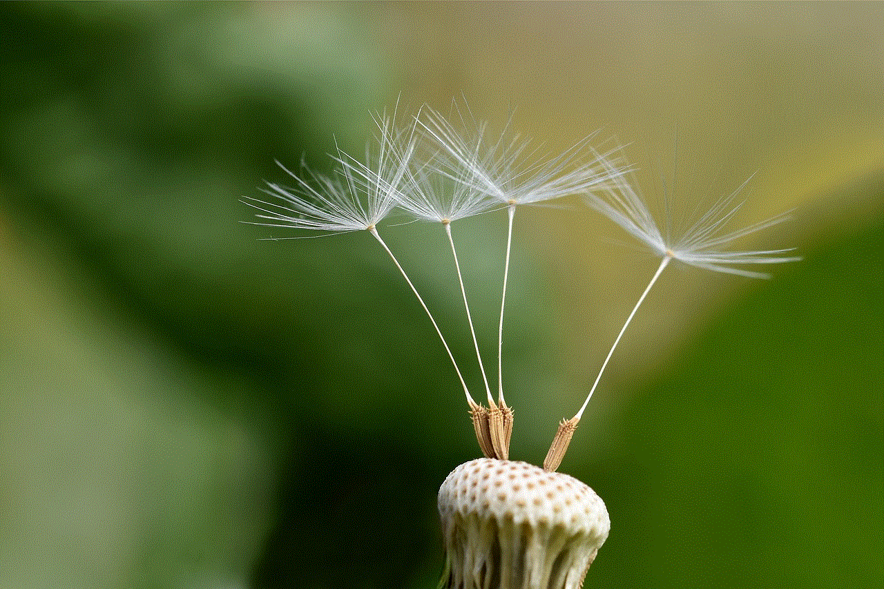 Dandelion Macro