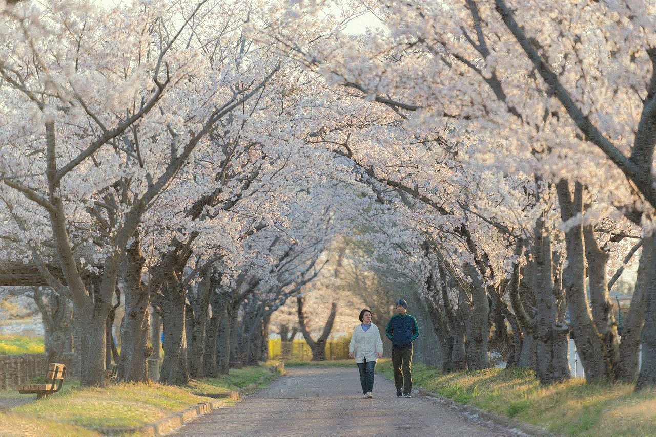 Couple Walking