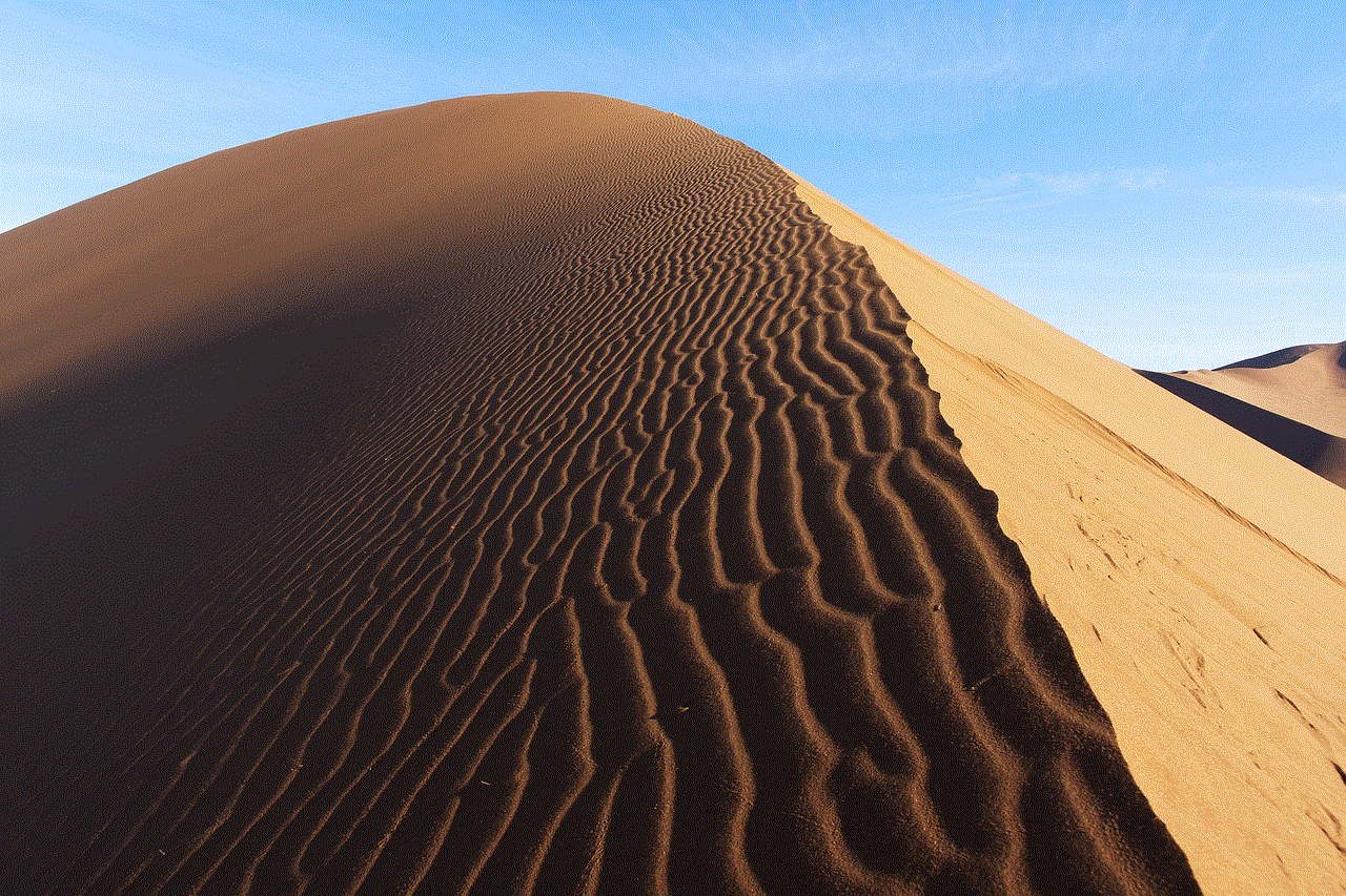 Namib Desert Sand