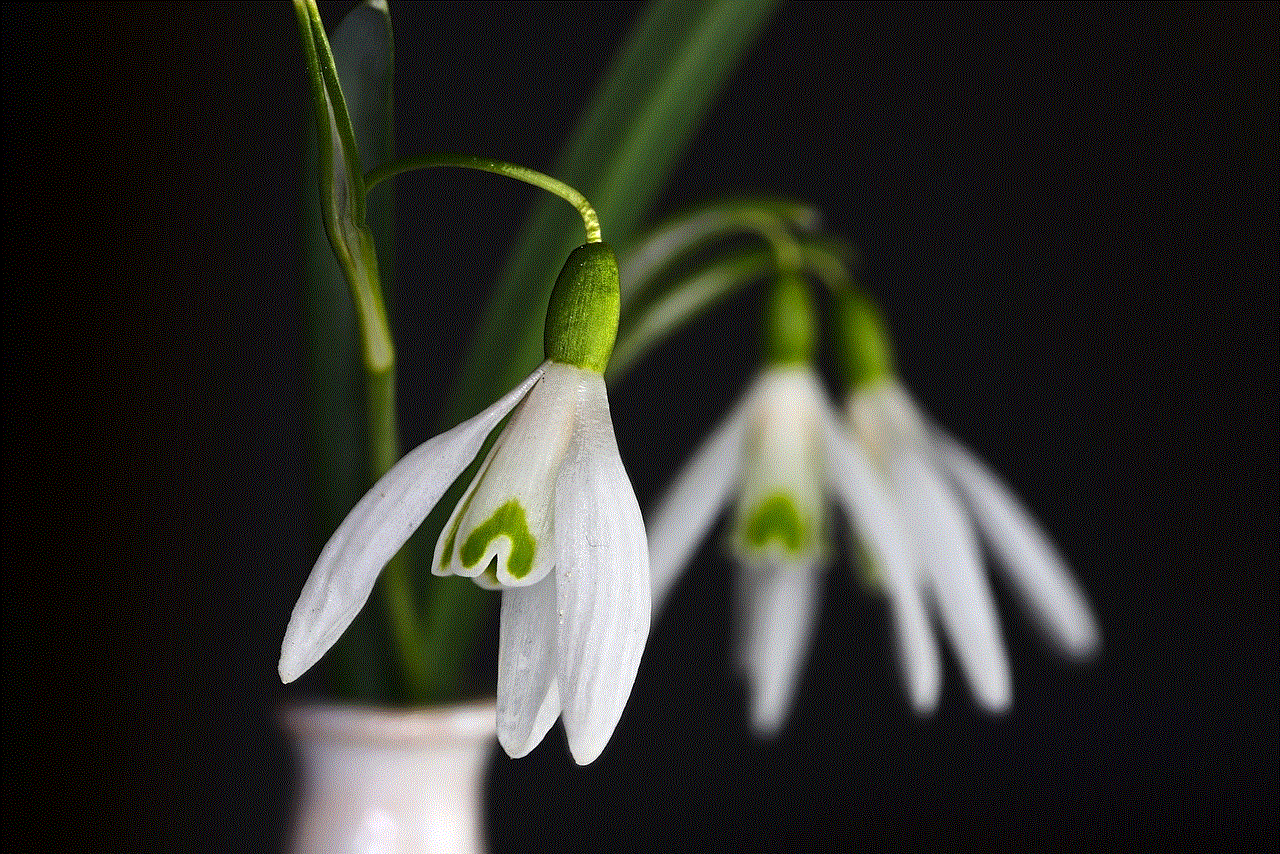 Snowdrop Flower Wallpaper