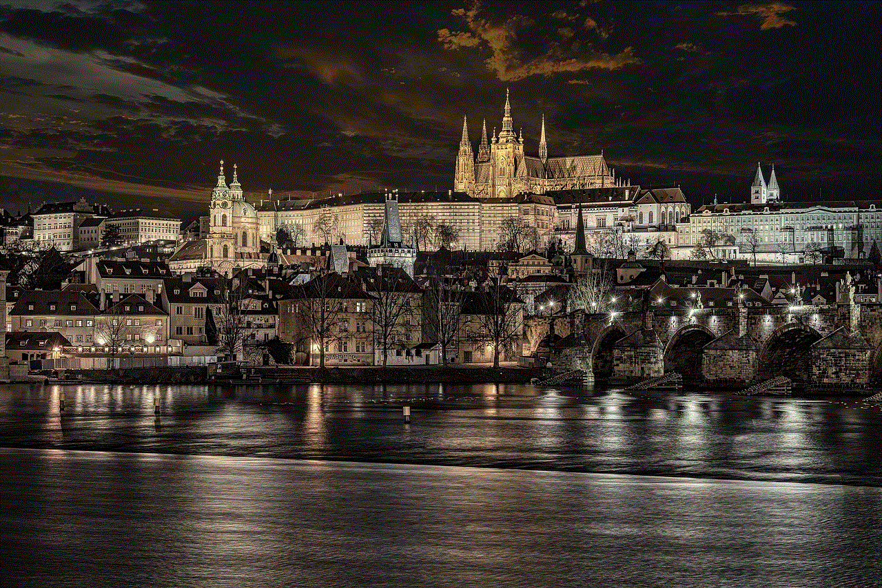 Charles Bridge City