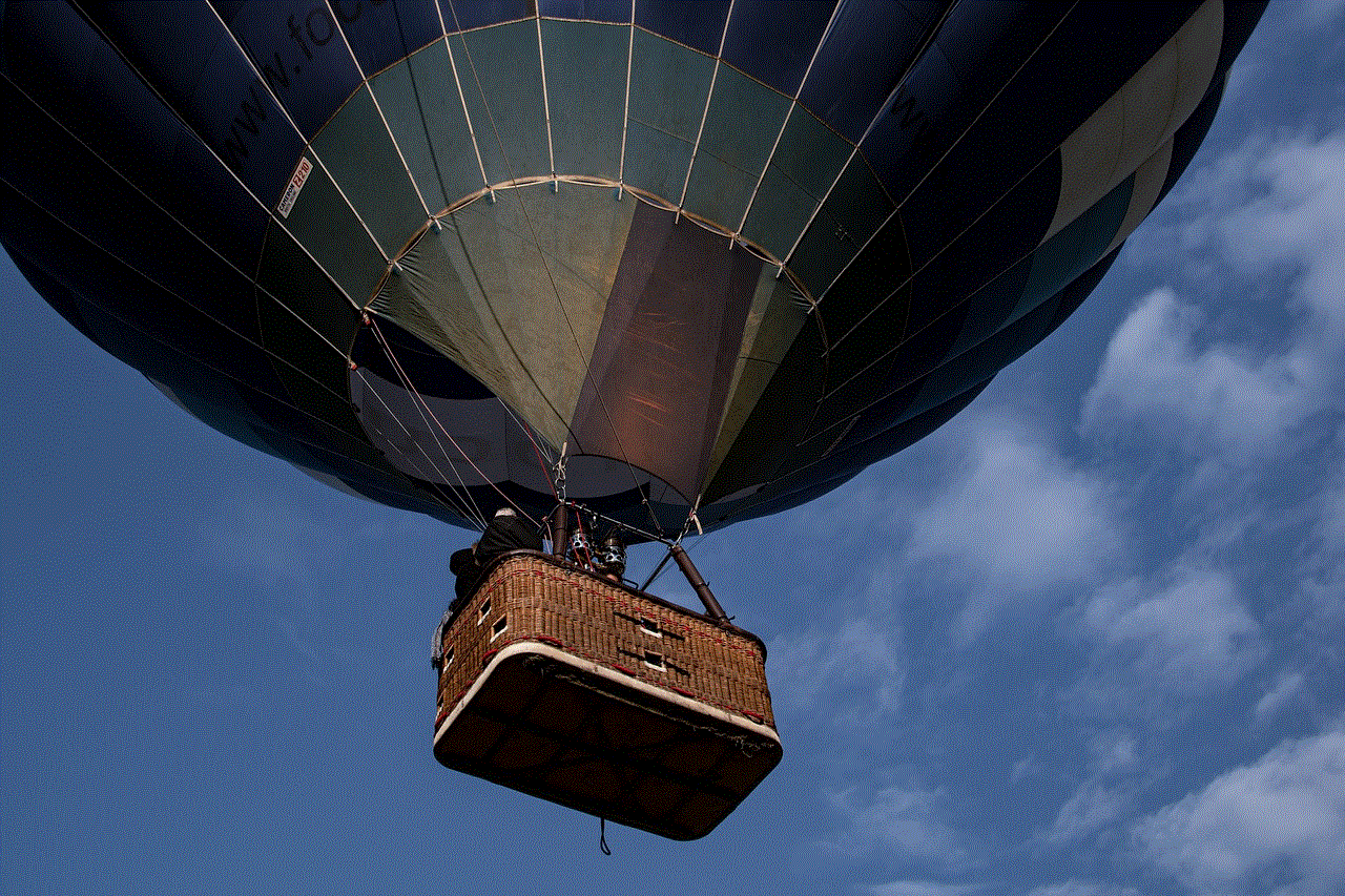 Hot Air Balloon Flying