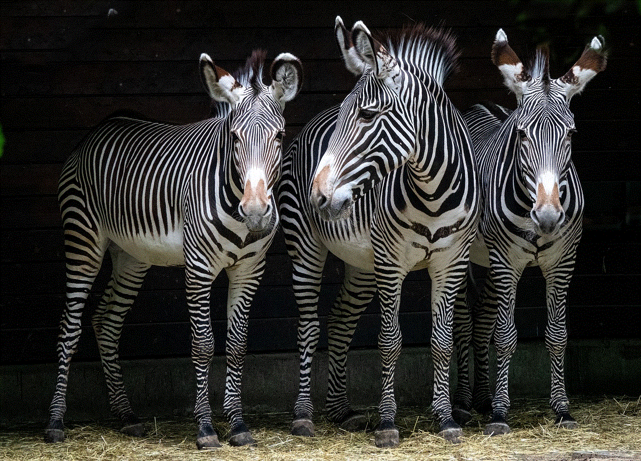 Zebras Stripes