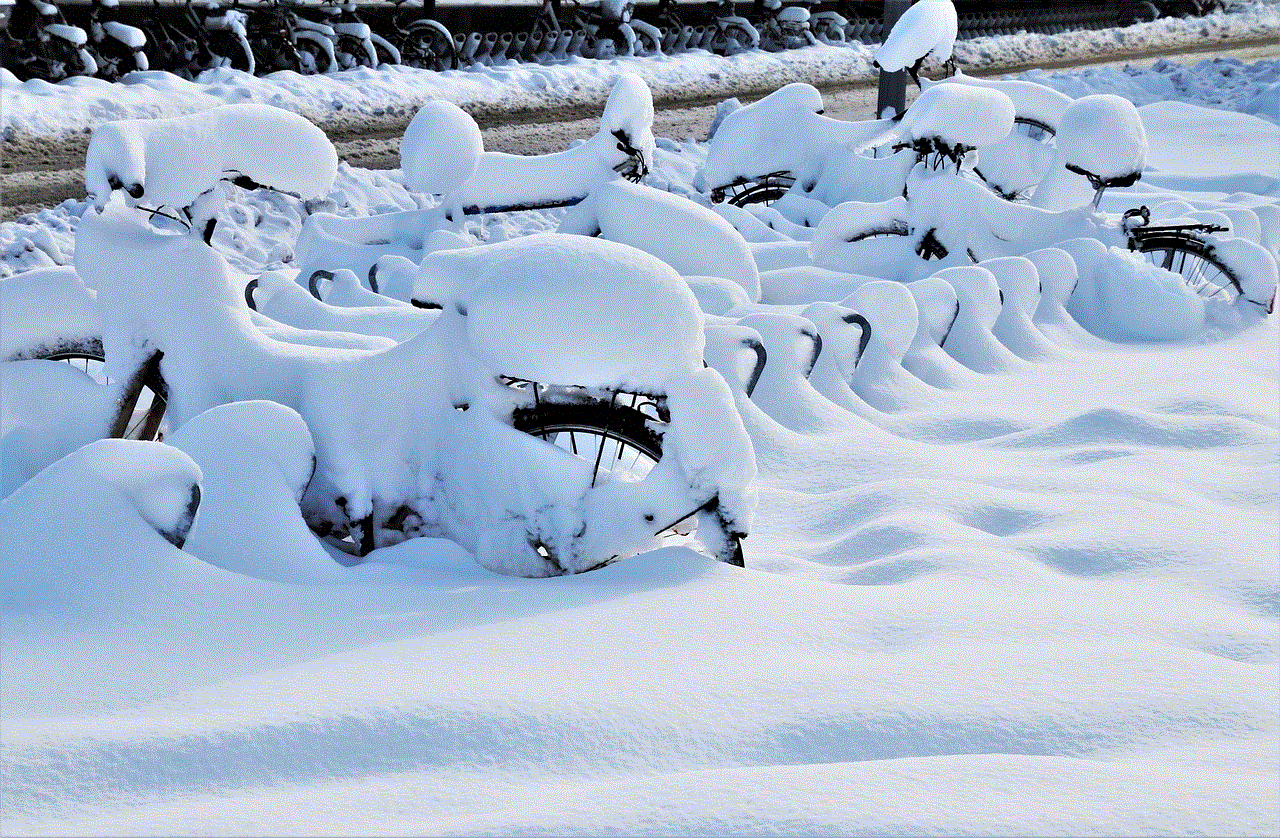 Bicycles Snow