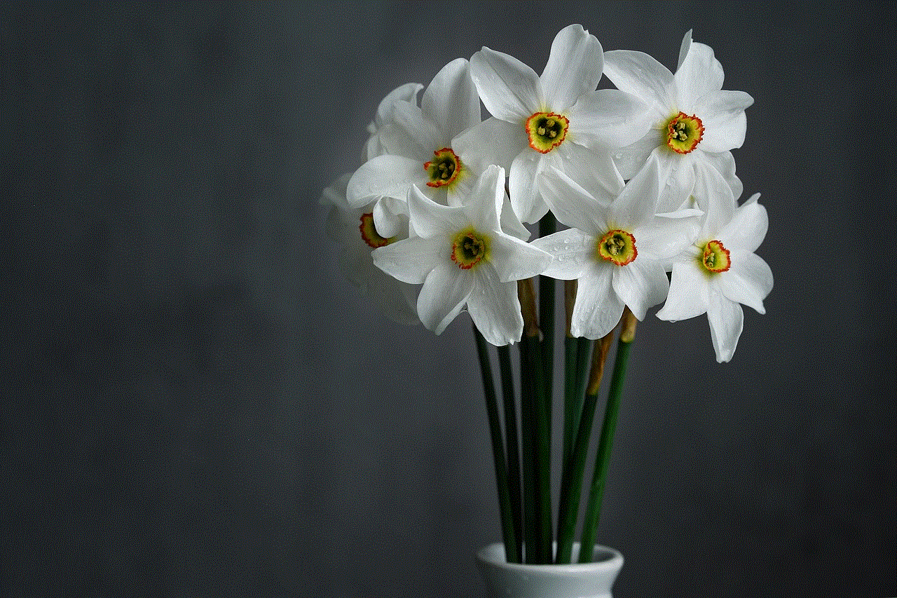 Daffodils White Flowers