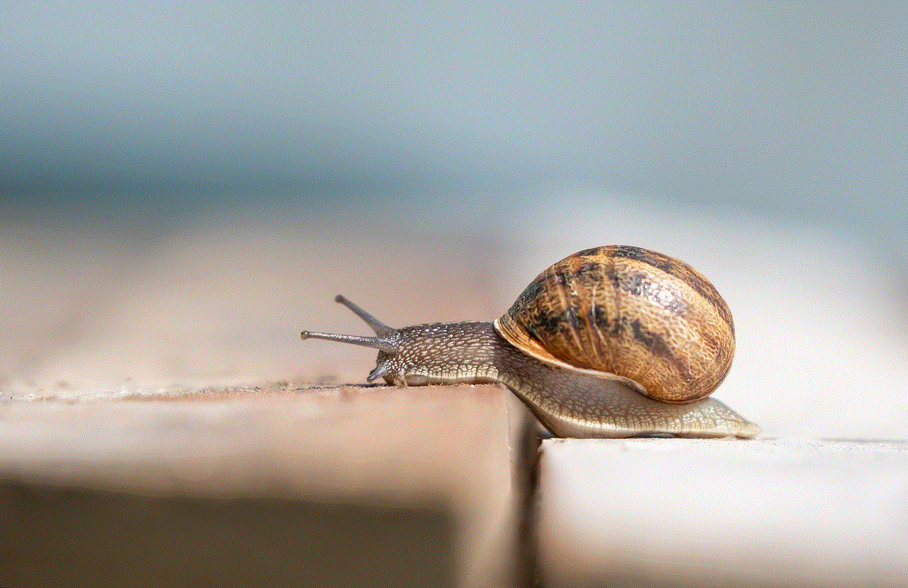 Snail Shell