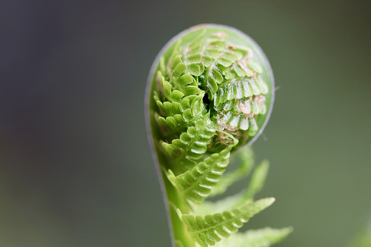 Fern Sprout