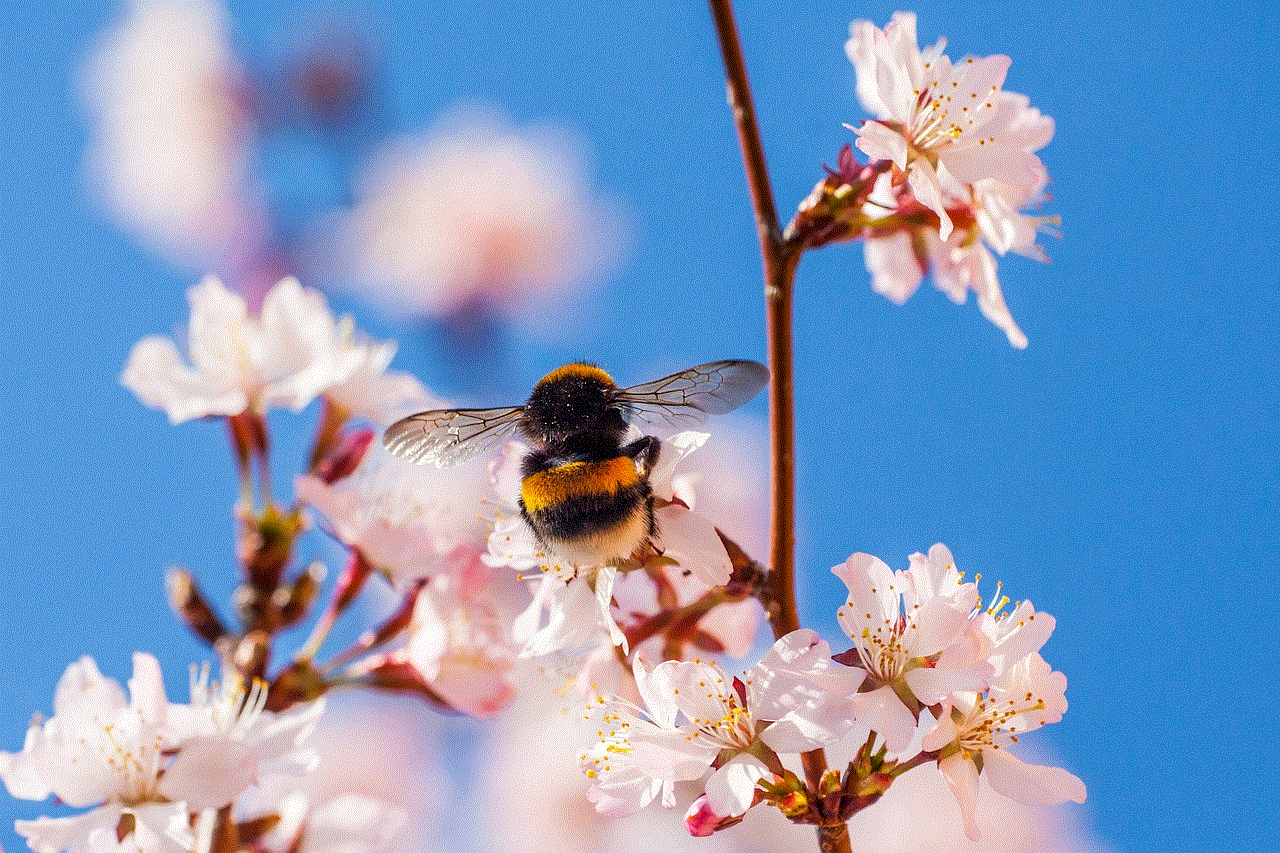 Hummel Flowers