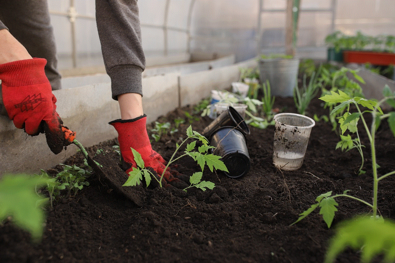 Greenhouse Planting