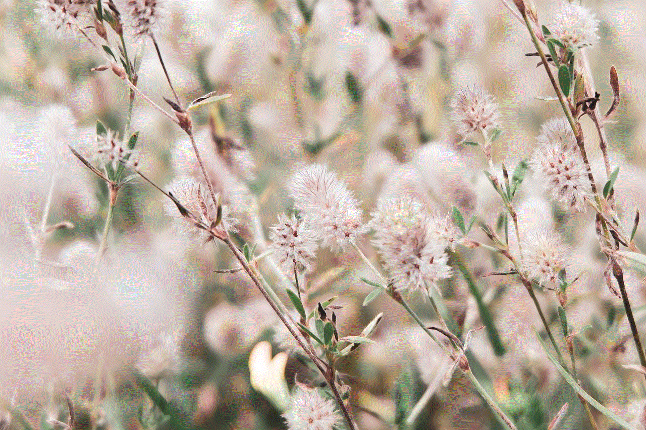 Flowers Plant